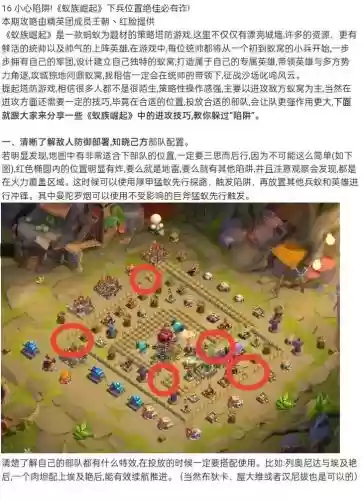 蚂蚁射手阵容
