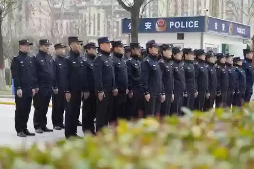 最强警察阵容插图