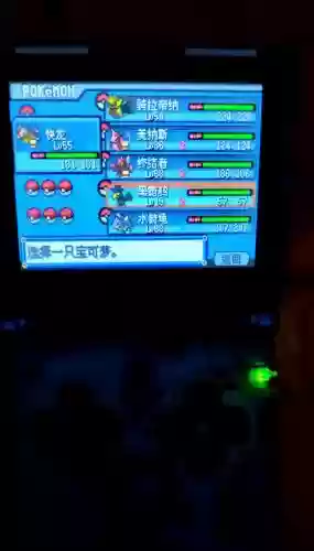 口袋妖怪白金光1至3周攻略插图