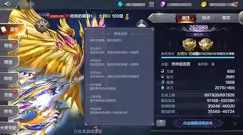 奇迹觉醒的武器进阶的辅助是什么意思插图1
