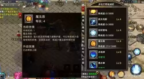 传奇法师变态技能_1插图