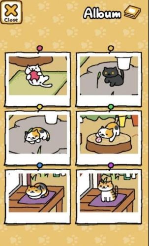 猫咪庭院扩建后攻略