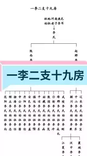 李姓阵容