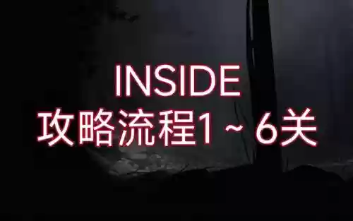 inside攻略第6幕