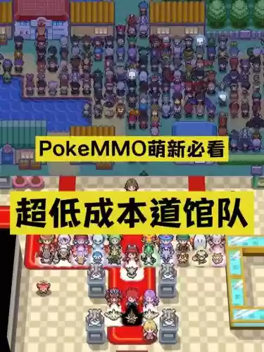 pokmmo双打阵容