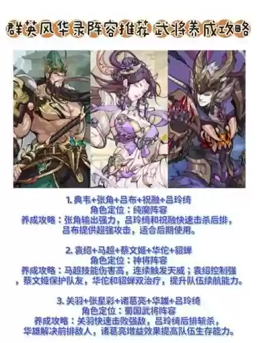 风华录阵容