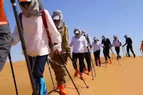 沙漠阵容有谁