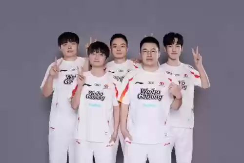 dgc阵容大全插图