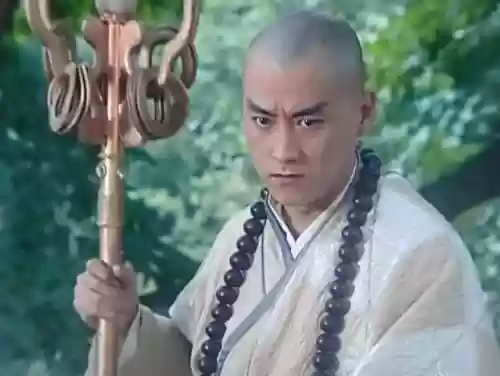 无情法海阵容