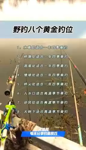 黄金垂钓阵容搭配