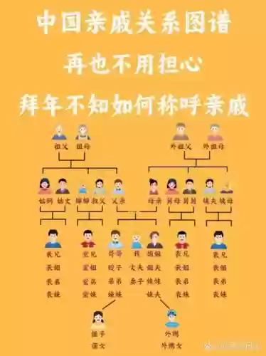 亲戚阵容搭配图片