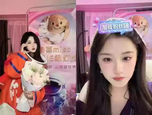 鹤儿阵容