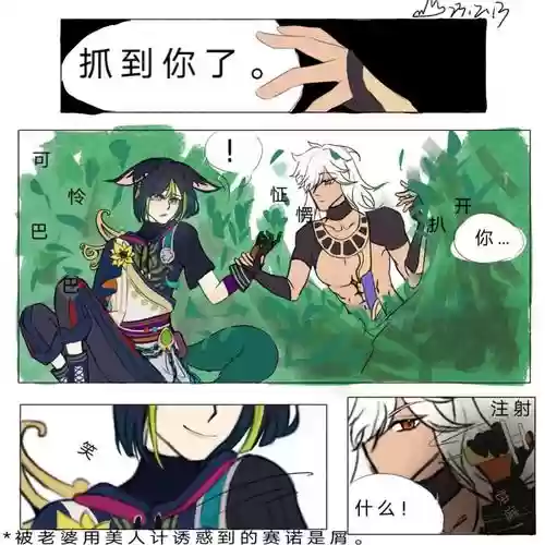 塞提阵容
