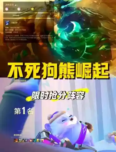 狗熊7阵容