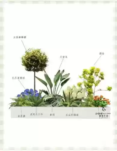 阵容教学植物