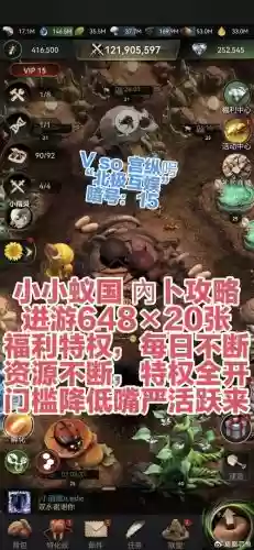 运输蚂蚁阵容