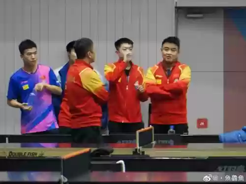 3133阵容教练