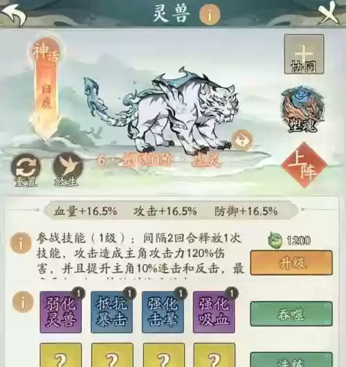 白虎太阳阵容_1插图