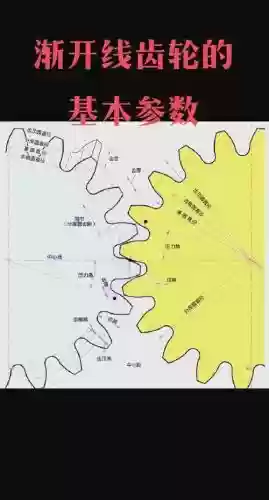 齿轮攻略插图