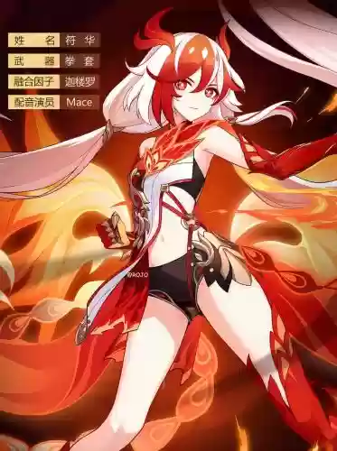 崩坏浮华阵容