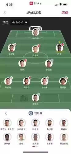 切尔西阵容2013插图