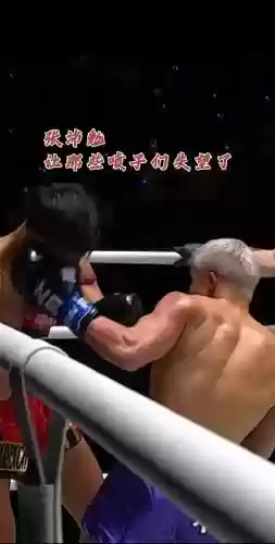 张沛阵容