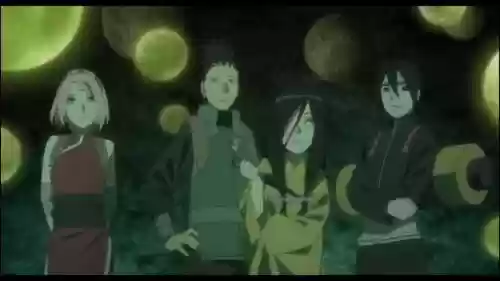 鹿樱阵容_1