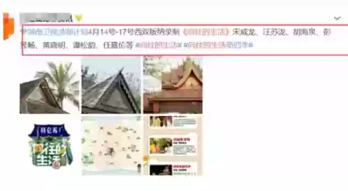 向往4原班人马阵容搭配