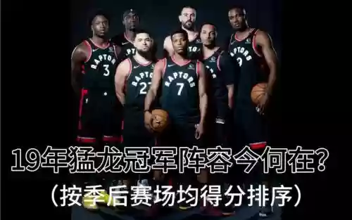 猛龙阵容升级
