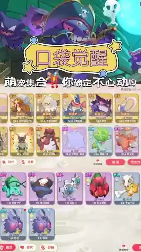 口袋xy阵容插图