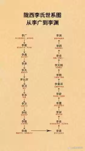 李姓阵容插图