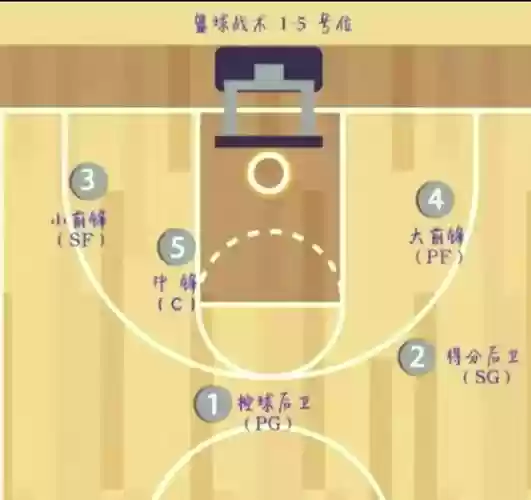 篮球阵容内线