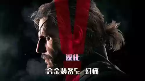 一航合金装备5幻痛，合金装备5幻痛流程攻略插图