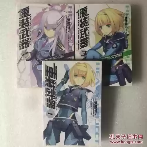 重装武器小说，重装武器小说全本插图