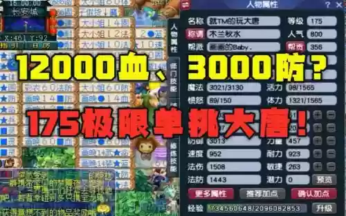 梦幻西游175极限大唐秒杀，梦幻175大唐怎么玩插图