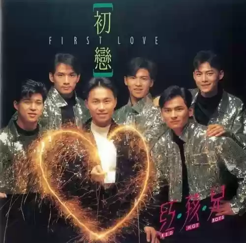 90年代歌星阵容搭配，90年代歌星里面有哪些人插图1