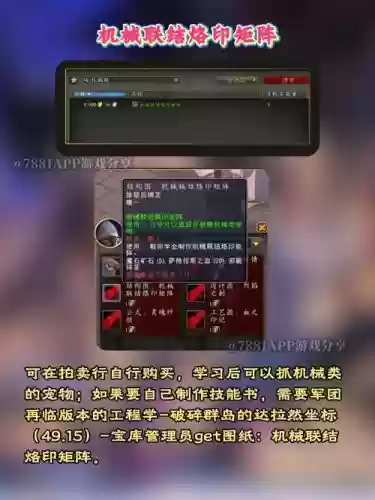 wow宠物技能怎么升级快，tbc宠物技能升级插图1