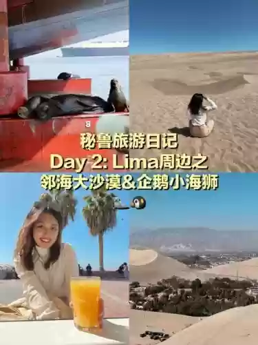 遥远的国度攻略插图1