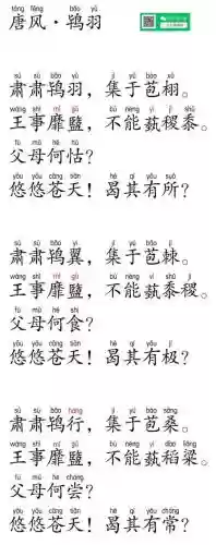 鸨羽阵容搭配，鸨羽原文及翻译注音插图