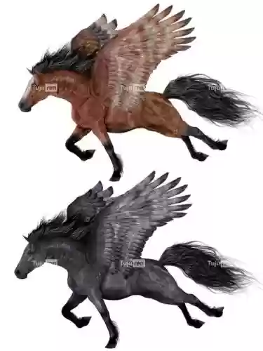 飞马座传奇攻略，飞马座ε插图