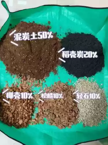 土花搭配什么阵容,土花输出手法插图 土花搭配什么阵容,土花输出手法插图