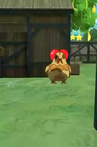 赤毛鸡仔有觉醒技能吗,赤羽鸡王诱饵怎么得插图 赤毛鸡仔有觉醒技能吗,赤羽鸡王诱饵怎么得插图