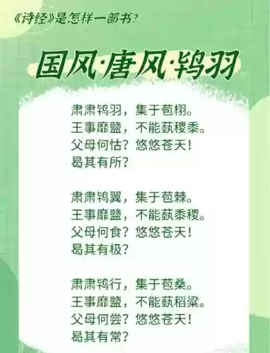 鸨羽阵容搭配，鸨羽原文及翻译注音插图1