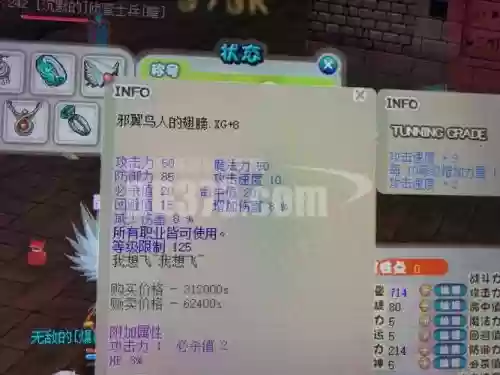希望OL猎人装备图片，希望online猎人