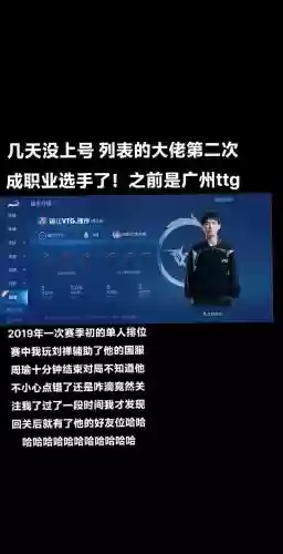 职业赛国服最强阵容搭配，职业选手和国服谁厉害插图