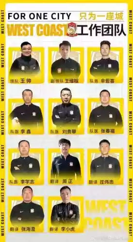 教练阵容搭配,教练加点插图 教练阵容搭配,教练加点插图