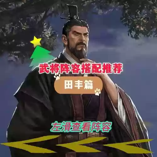 田丰搭配阵容，三国志战略版田丰阵容怎么搭配插图