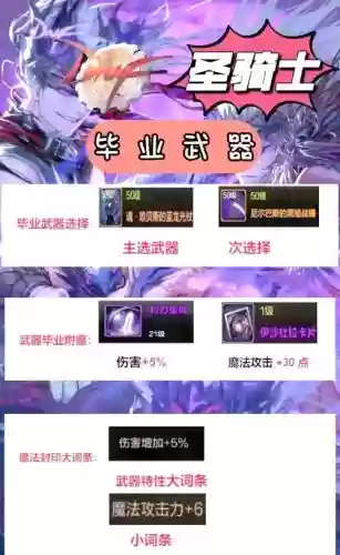 dnf圣骑90辅助装备选择，dnf100级圣骑毕业装备插图