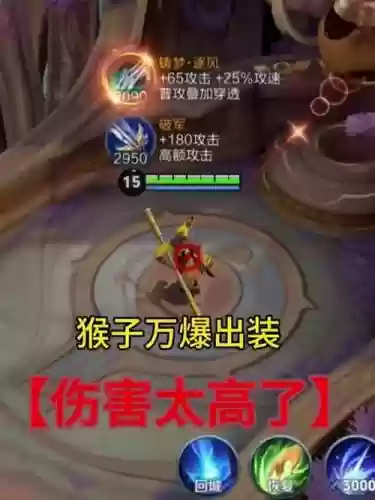 防猴子出什么装备6，猴子伤害太高怎么防御插图1