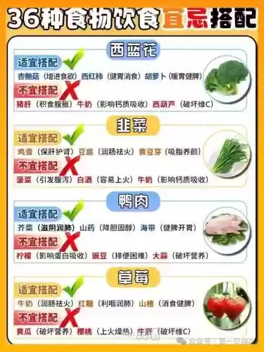克制食切阵容搭配，克制饮食插图